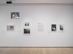 Installation photo, 44 of 64