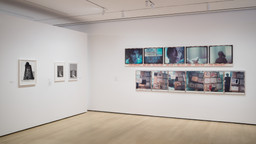 Installation photo, 48 of 64