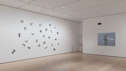 Installation photo, 7 of 12