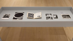 Installation photo, 13 of 16