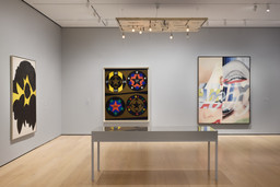 Installation photo, 14 of 16