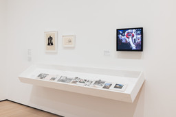 Installation photo, 17 of 34