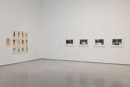 Installation photo, 4 of 23
