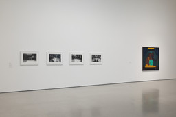 Installation photo, 6 of 23