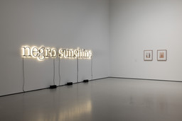 Installation photo, 11 of 17