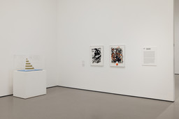 Installation photo, 6 of 17