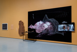 Installation photo, 1 of 18