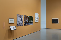 Installation photo, 3 of 18