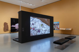 Installation photo, 6 of 18
