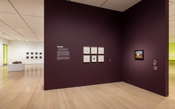 Installation photo, 15 of 77