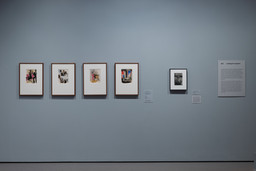 Installation photo, 10 of 14