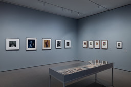 Installation photo, 8 of 14