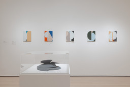 Installation photo, 8 of 11