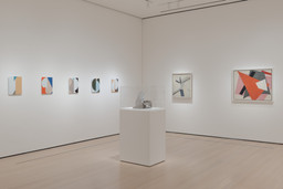 Installation photo, 5 of 11