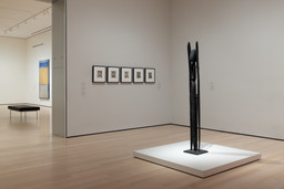 Installation photo, 13 of 16