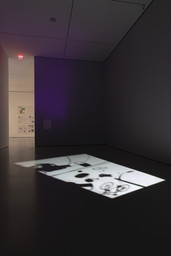 Installation photo, 2 of 8