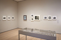 Installation photo, 4 of 9