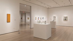 Installation photo, 7 of 9