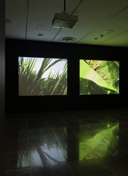 Installation photo, 15 of 19