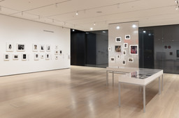 Installation photo, 8 of 25