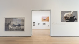 Installation photo, 2 of 98