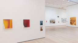 Installation photo, 40 of 98