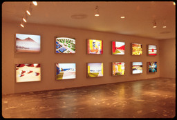 Installation photo, 12 of 12