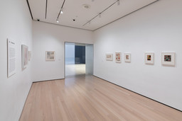 Installation photo, 5 of 15