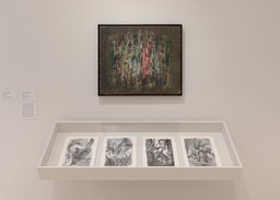 Installation photo, 8 of 14