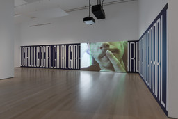 Installation photo, 12 of 65