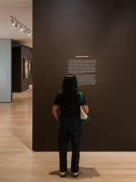 Installation photo, 45 of 49