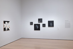 Installation photo, 14 of 131