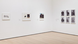 Installation photo, 14 of 19