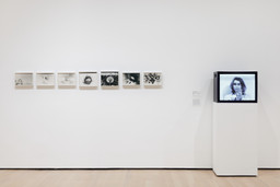 Installation photo, 15 of 19