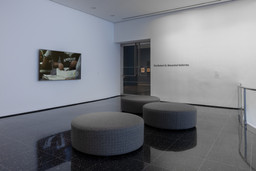 Installation photo, 78 of 82