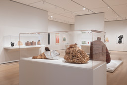 Installation photo, 64 of 82