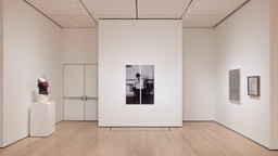 Installation photo, 50 of 82