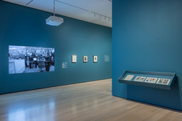 Installation photo, 13 of 82