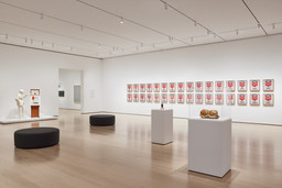 Installation photo, 4 of 10