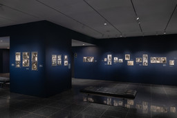 Installation photo, 14 of 23