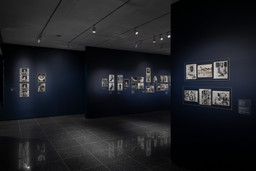 Installation photo, 17 of 23
