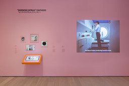 Installation photo, 6 of 18