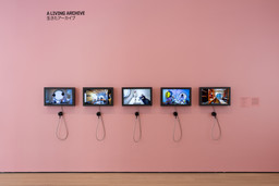 Installation photo, 10 of 18