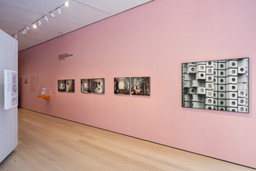 Installation photo, 14 of 18