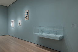 Installation photo, 16 of 23