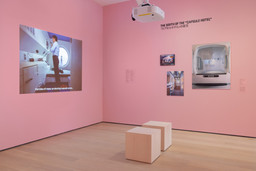 Installation photo, 8 of 18