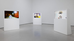 Installation photo, 4 of 5