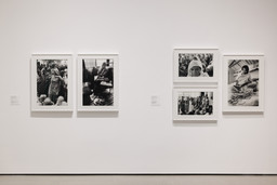 Installation photo, 6 of 8