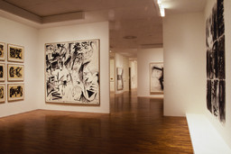 Installation photo, 60 of 107