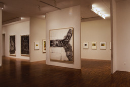 Installation photo, 66 of 107